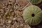 Boucle Céline