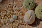 Boucles Margaux